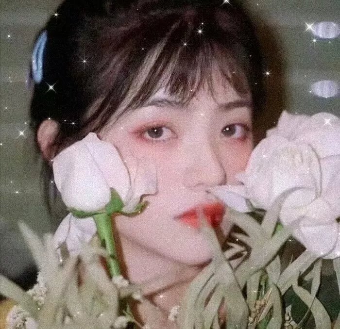 搜神记：南海美人鲛
